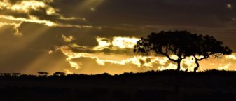 Can I go on a safari in Tanzania in the rainy season?