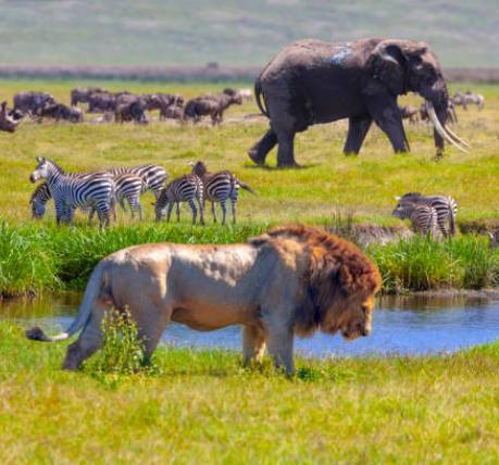 Tailor-made honeymoon Tanzania