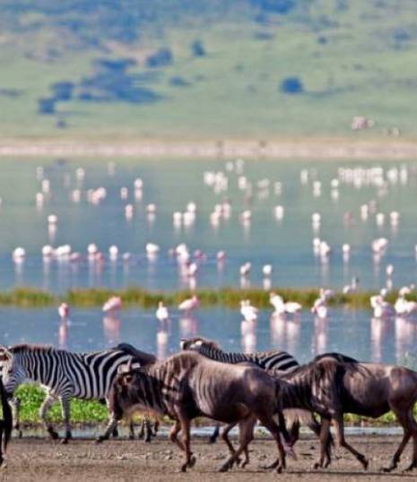 Serengeti National Park