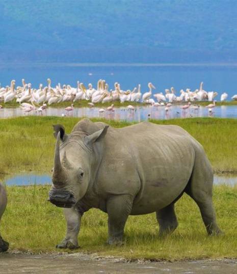 Day 5: Ngorongoro Crater